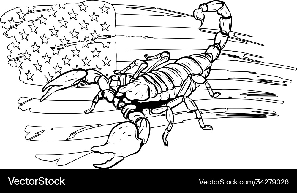 Realistic Scorpion Vector Image