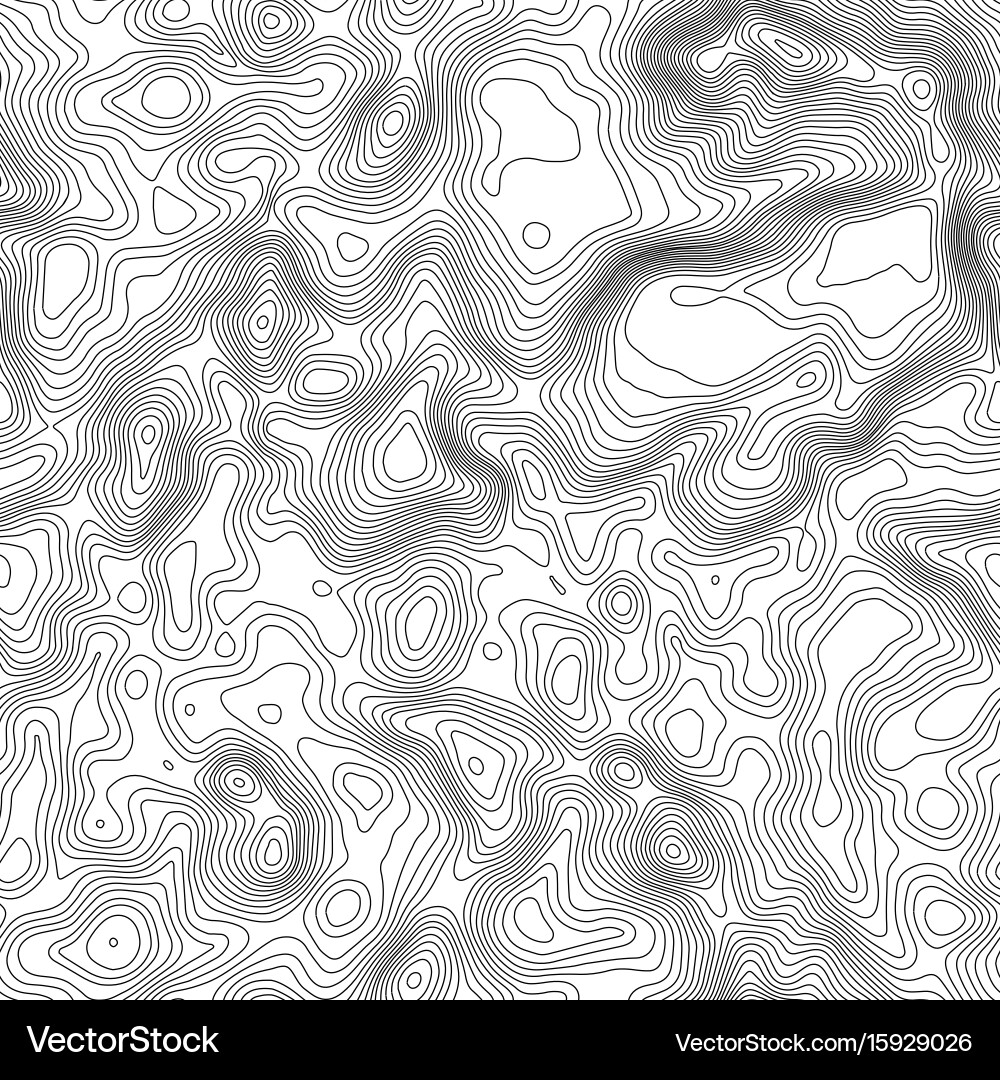 Seamless pattern topographic map background vector image