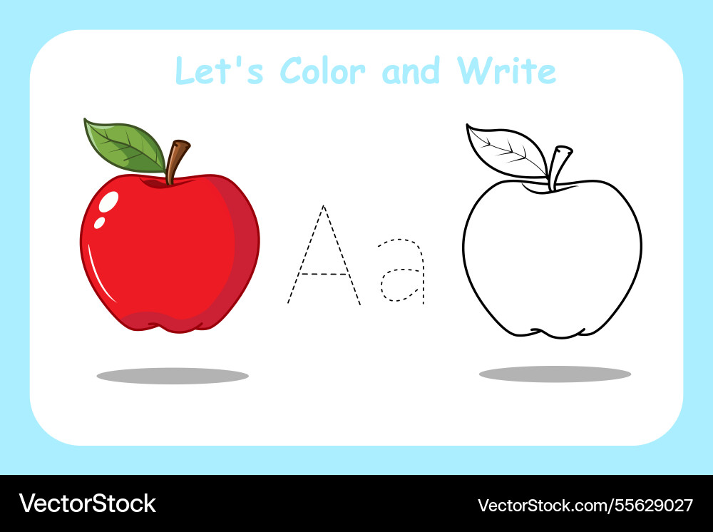 Flashcards lets color and write apple fruit Vector Image