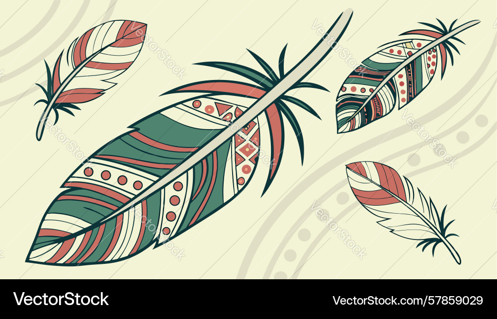 Decorative boho feathers with intricate patterns Vector Image