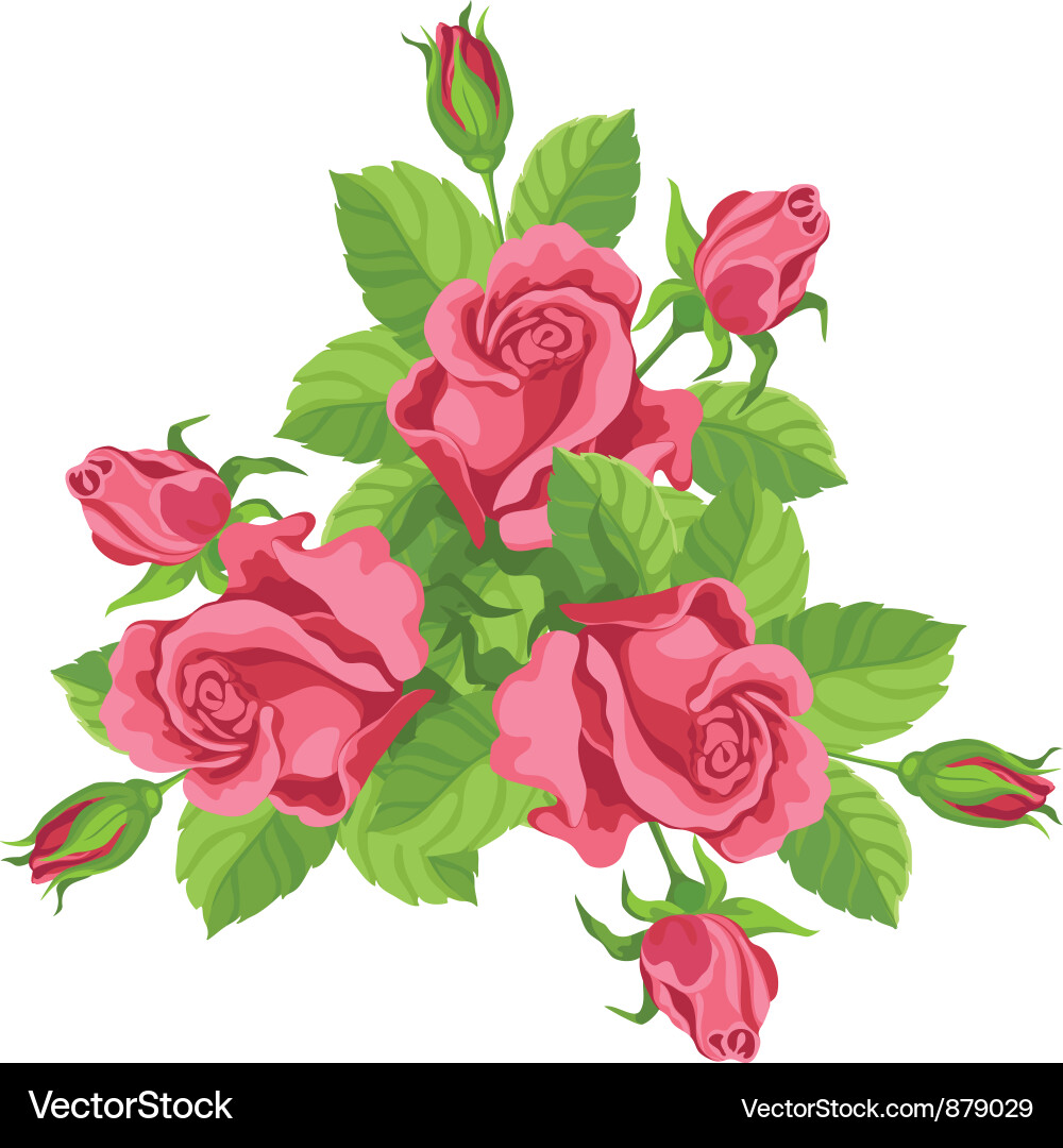 Elegant Rose Bouquet vector image