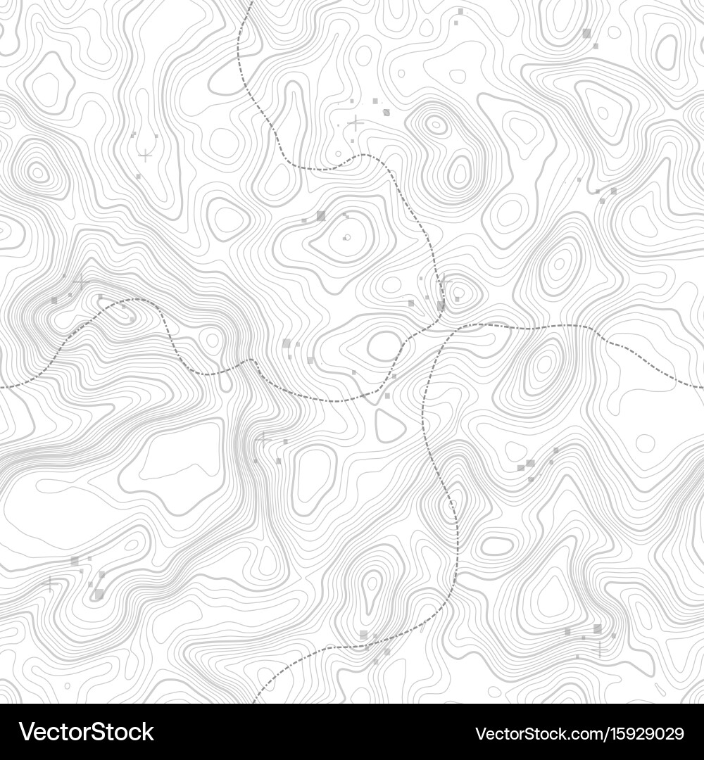 Seamless pattern topographic map background Vector Image