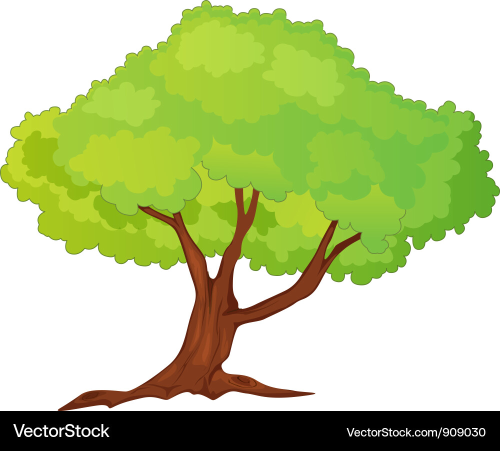 Cartoon Tree Vector Image