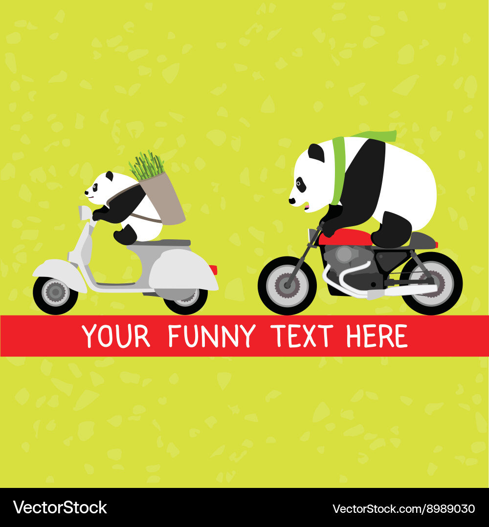 Funny pandas delivery service vector image