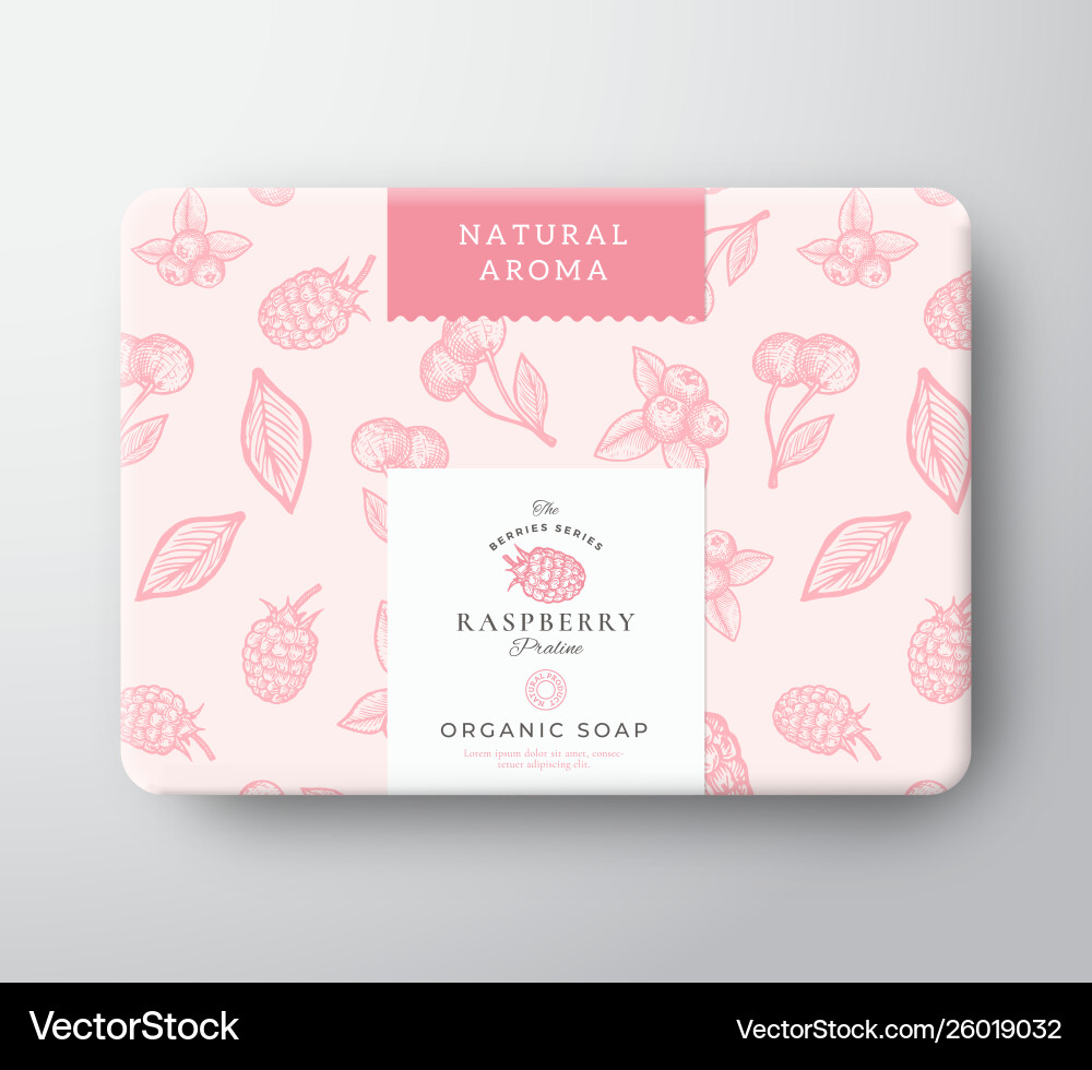 Raspberry Bath Soap Box - Abstract Vector Image