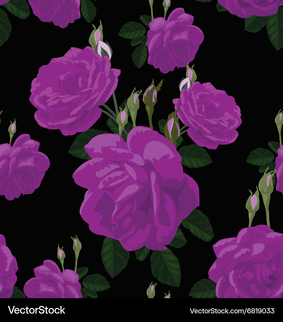 Rose Vector Image