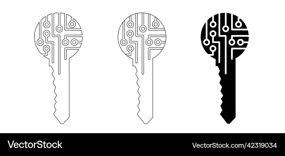 Digital Login Key Microchip vector image