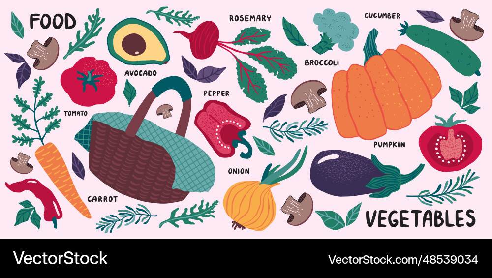 Fresh Vegetable & Fruit Basket Vector Image
