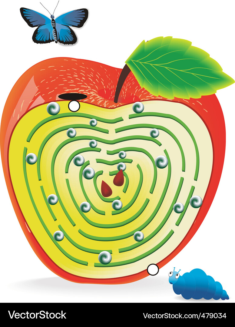 Labyrinth in apple Vector Image