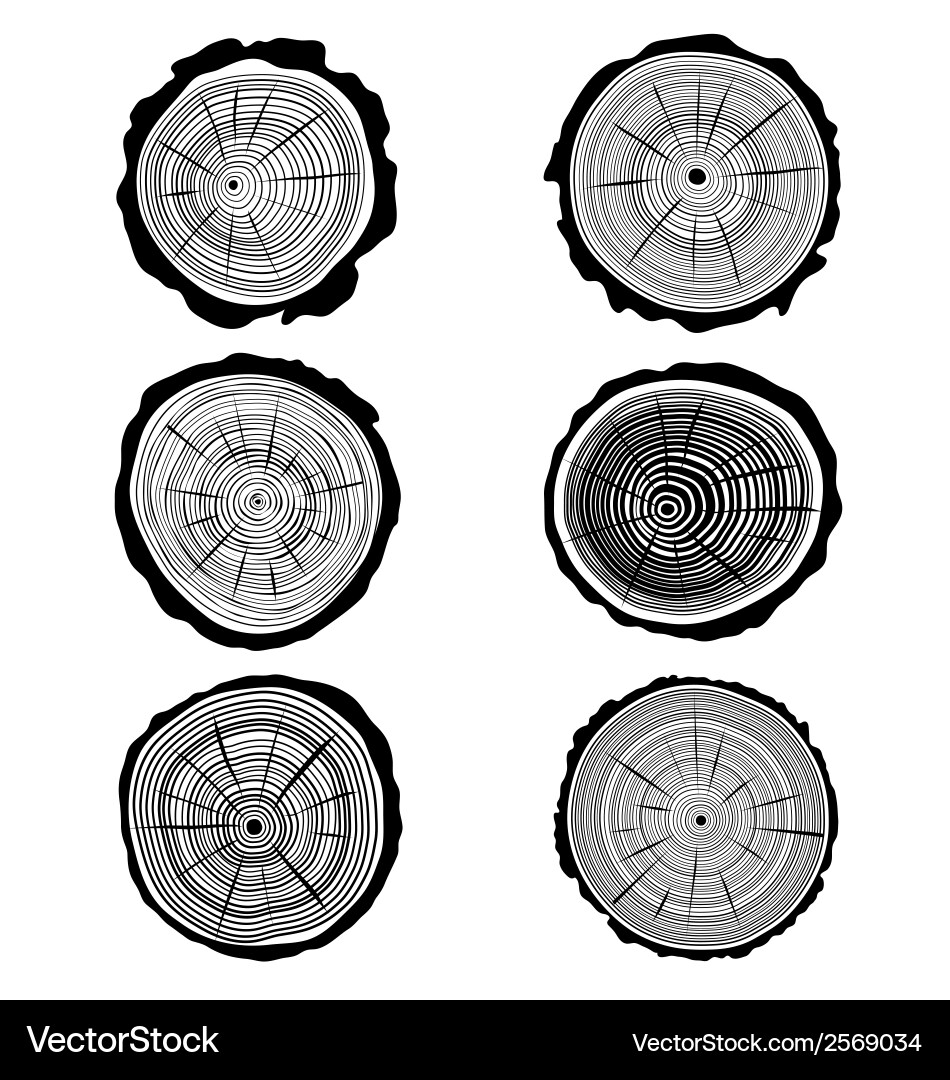 Five Rings Vector Rings Royalty Free Vector Image - VectorStock