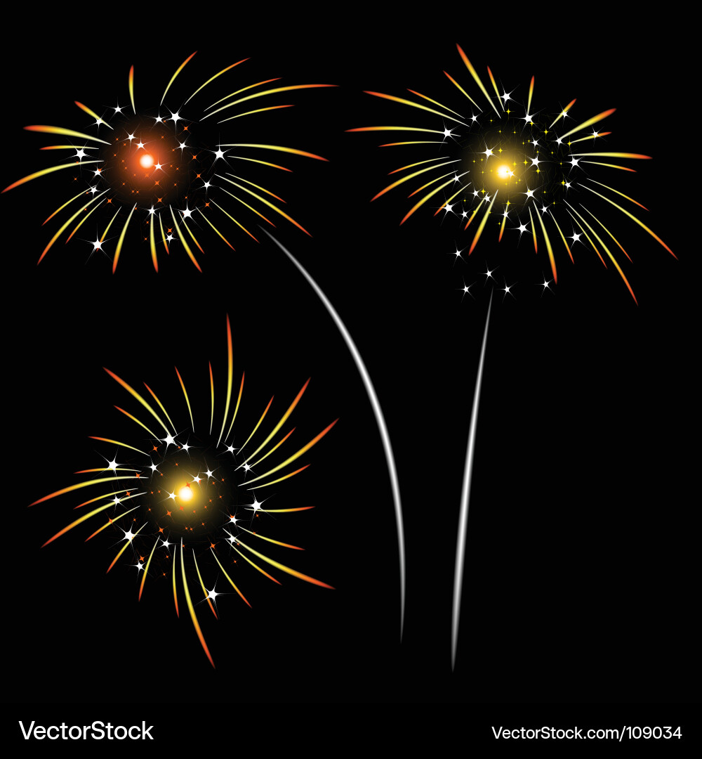 Spectacular Fireworks Display Vector Image