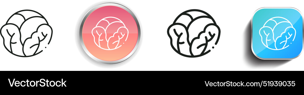 Cabbage icon thin linear regular and button style vector image