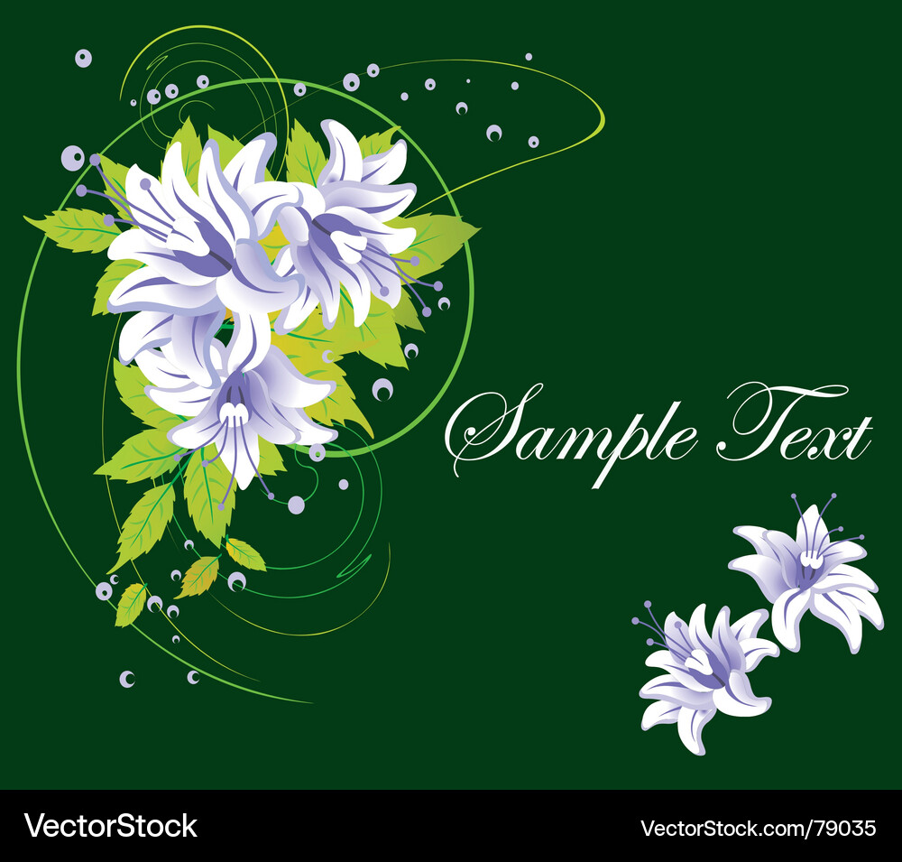 Elegant Floral Swirl Background Vector Image