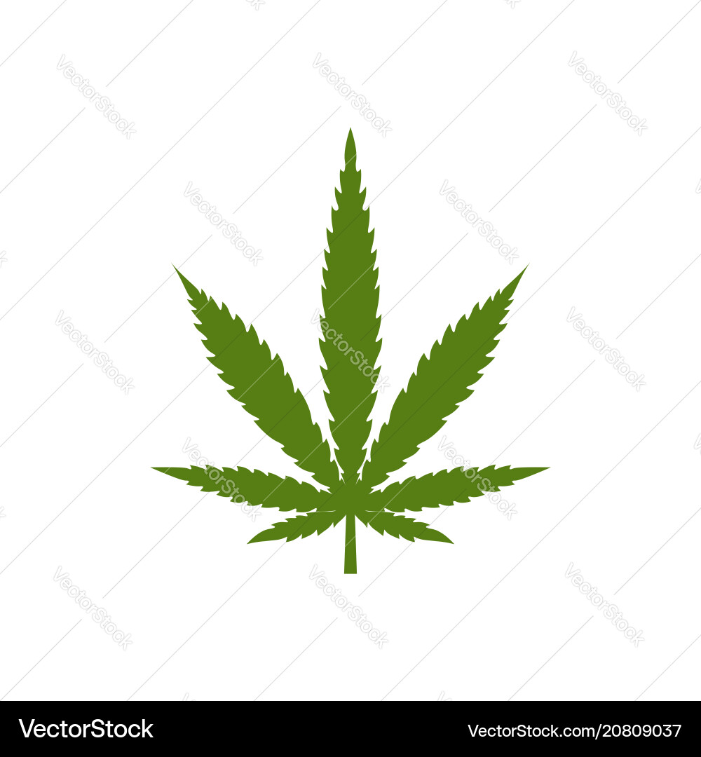 Logo marijuana leaf isolated on white background Logo marijuana leaf isolated on white background vector image