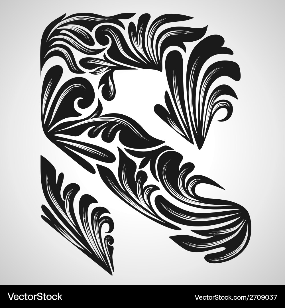 R calligraphic element vector image