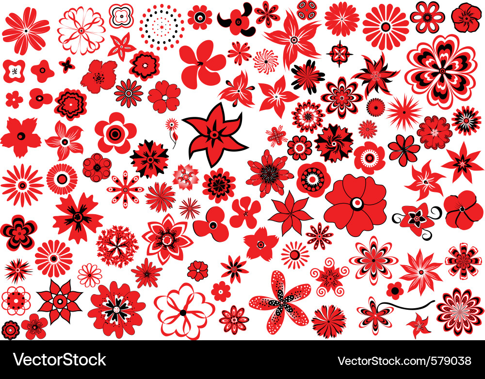 Floral Pattern - Scatter vector image