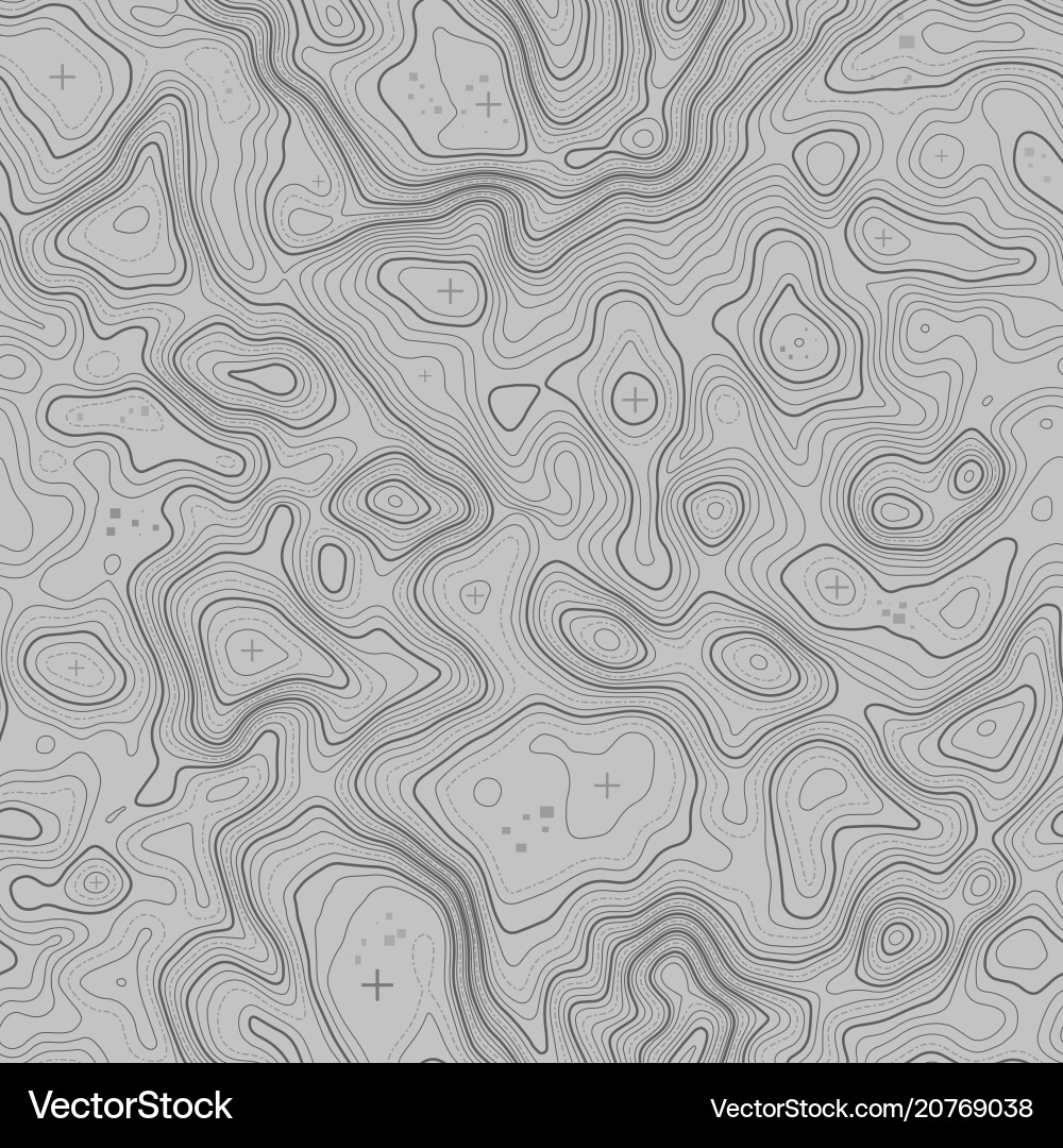 Topographic Map Seamless Pattern vector image