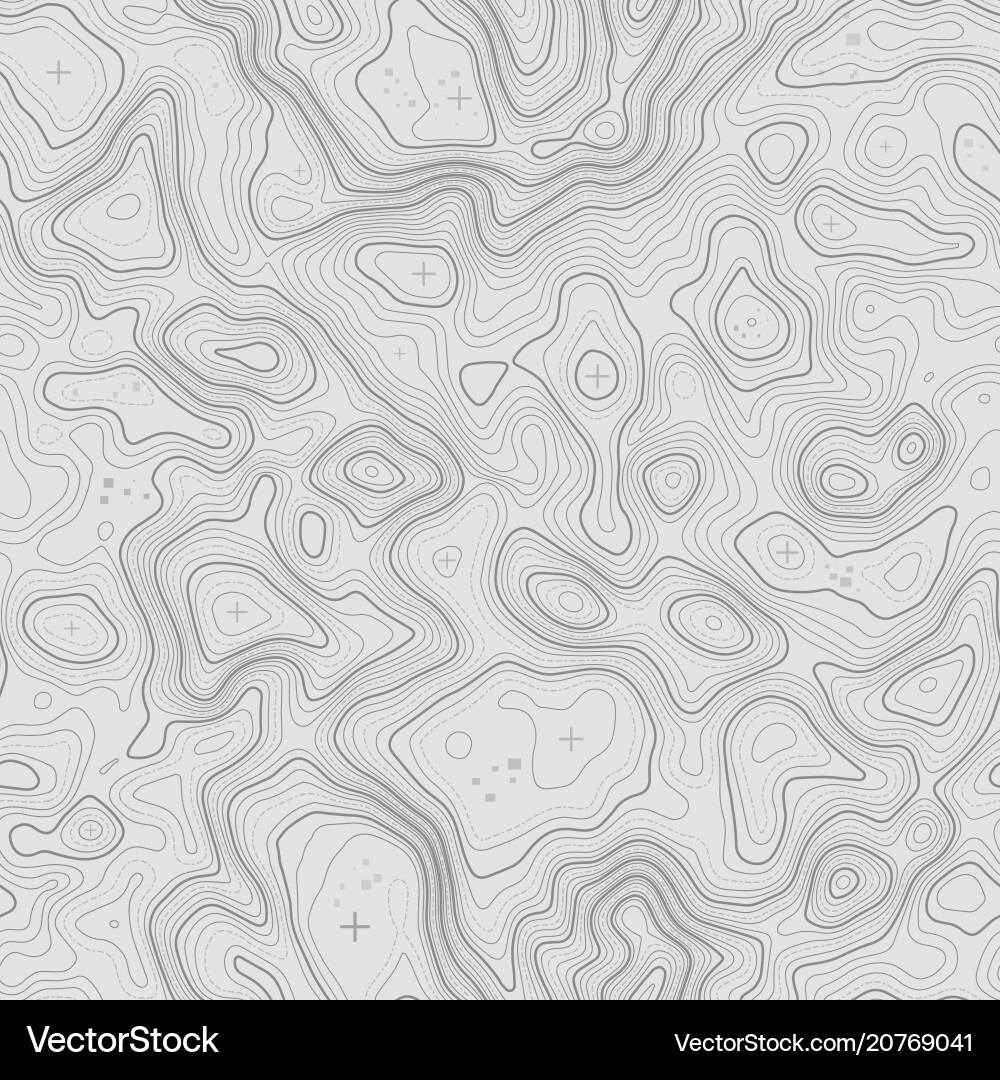 Topographic Map Pattern vector image