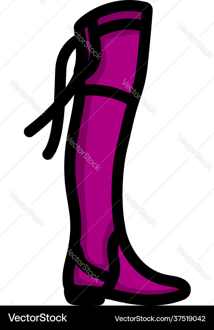 Hessian boots icon vector image