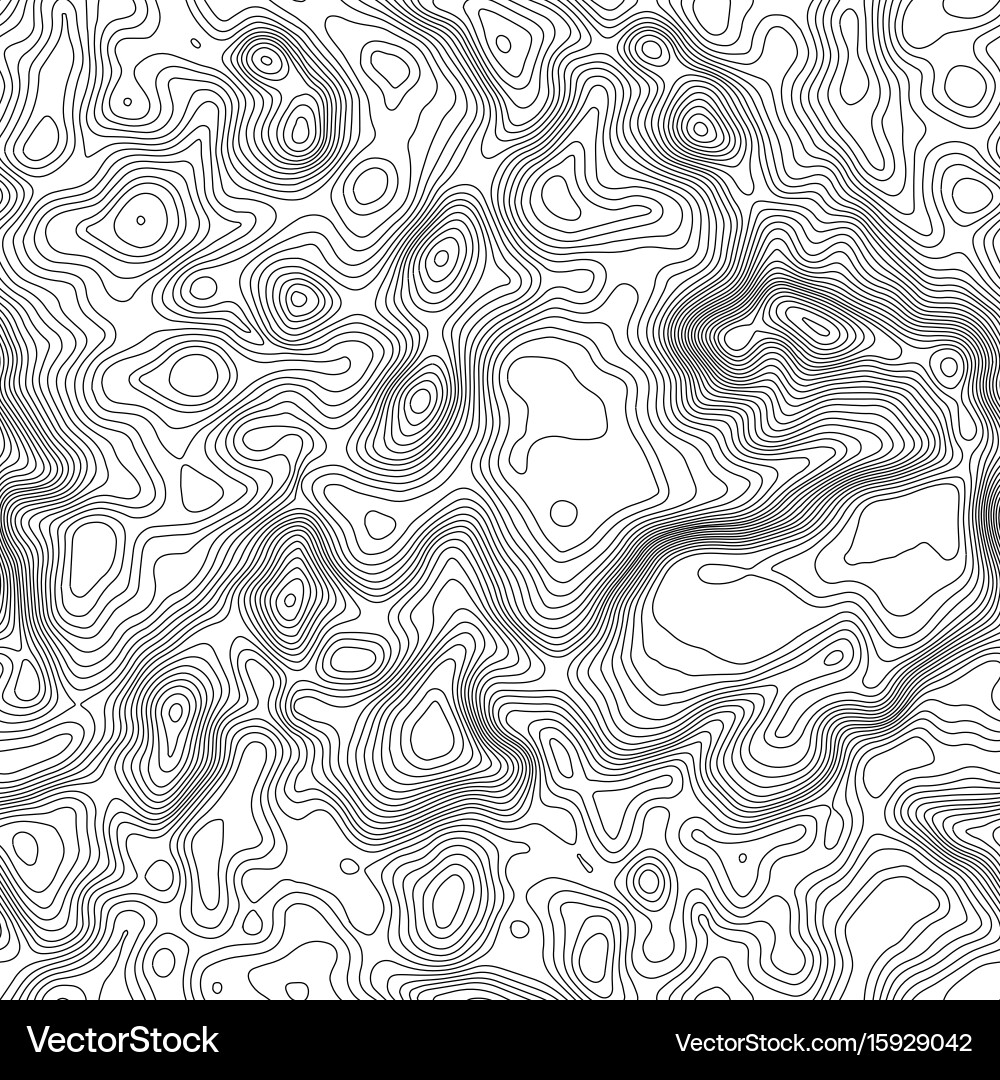 Seamless pattern topographic map background vector image