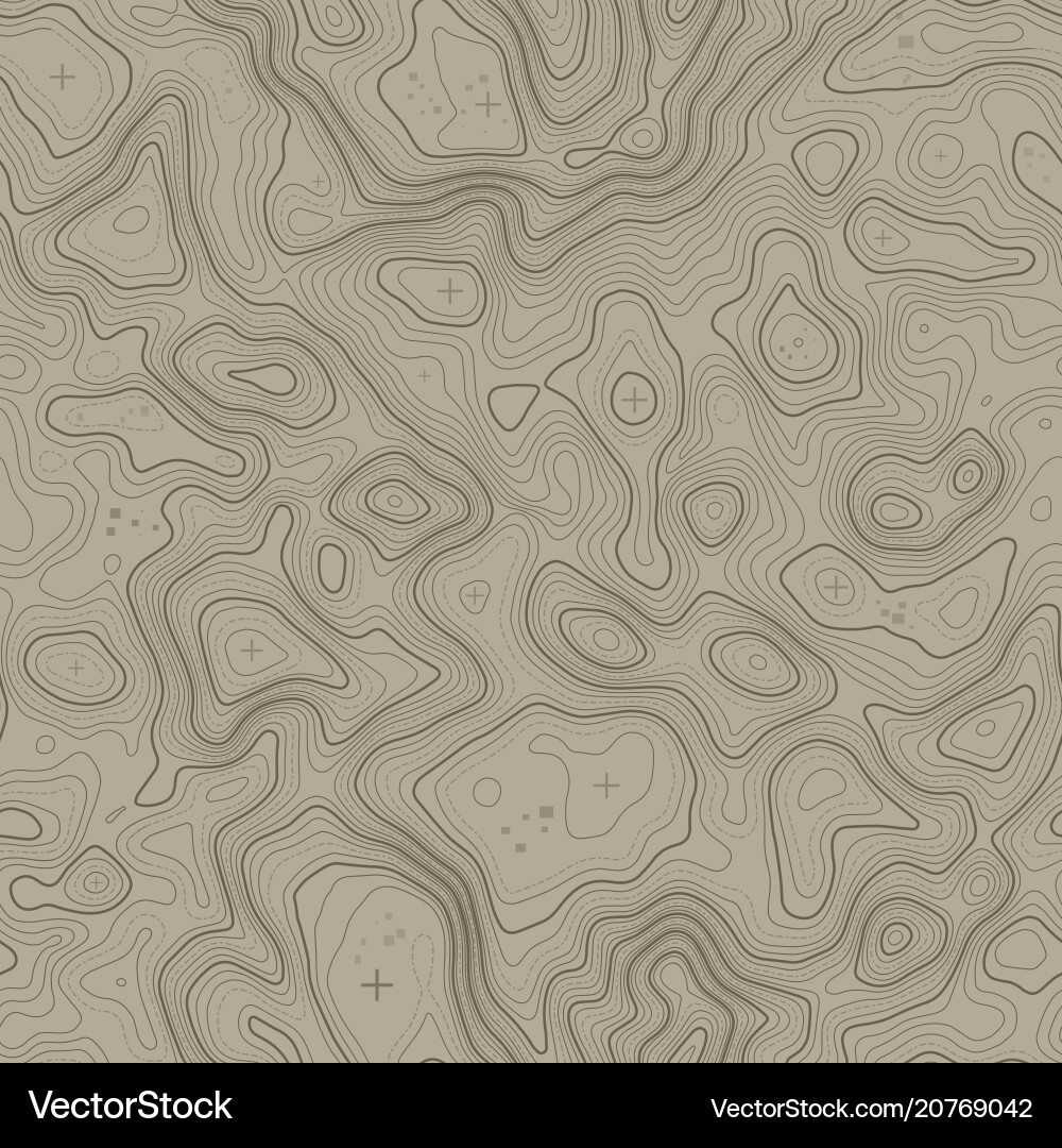 Seamless pattern topographic map background Seamless pattern topographic map background vector image