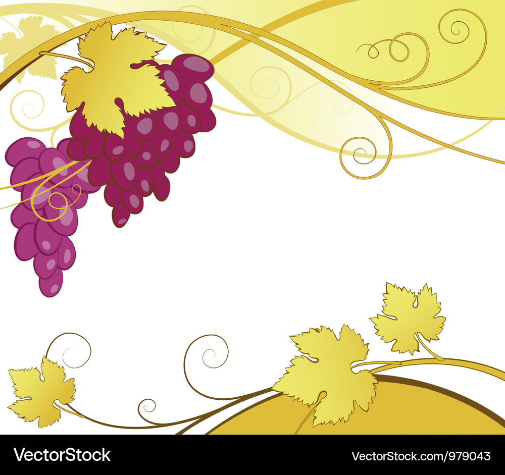 Grape vines abstract Vector Image
