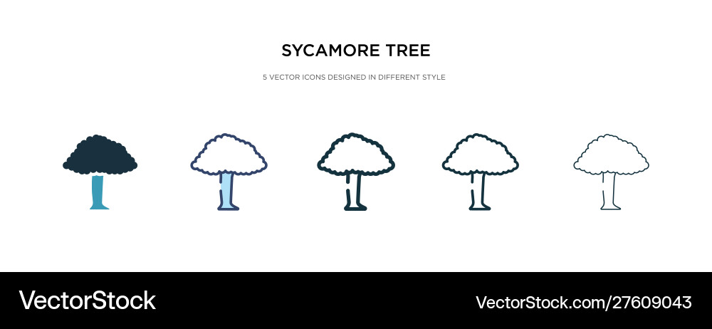 Sycamore tree icon in different style two Sycamore tree icon in different style two vector image