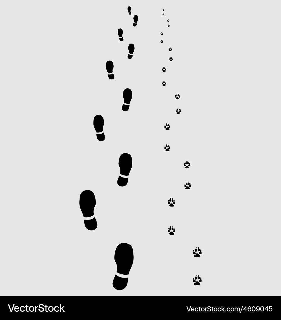 Лисьи следы на снегу. Бежал он по следу. Бежал он по следу. Бежал он по следу. Бежал он по следу.