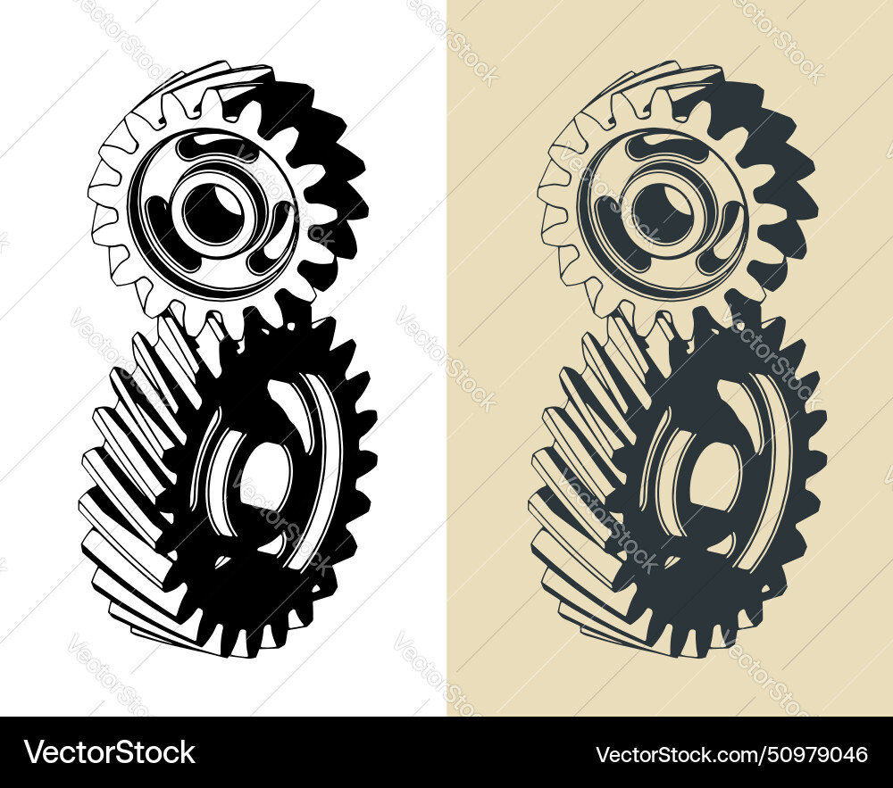 Screw gears Royalty Free Vector Image - VectorStock