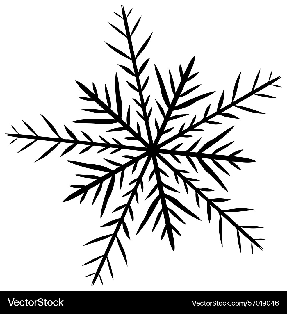 Snowflake isolated on transparent background Vector Image