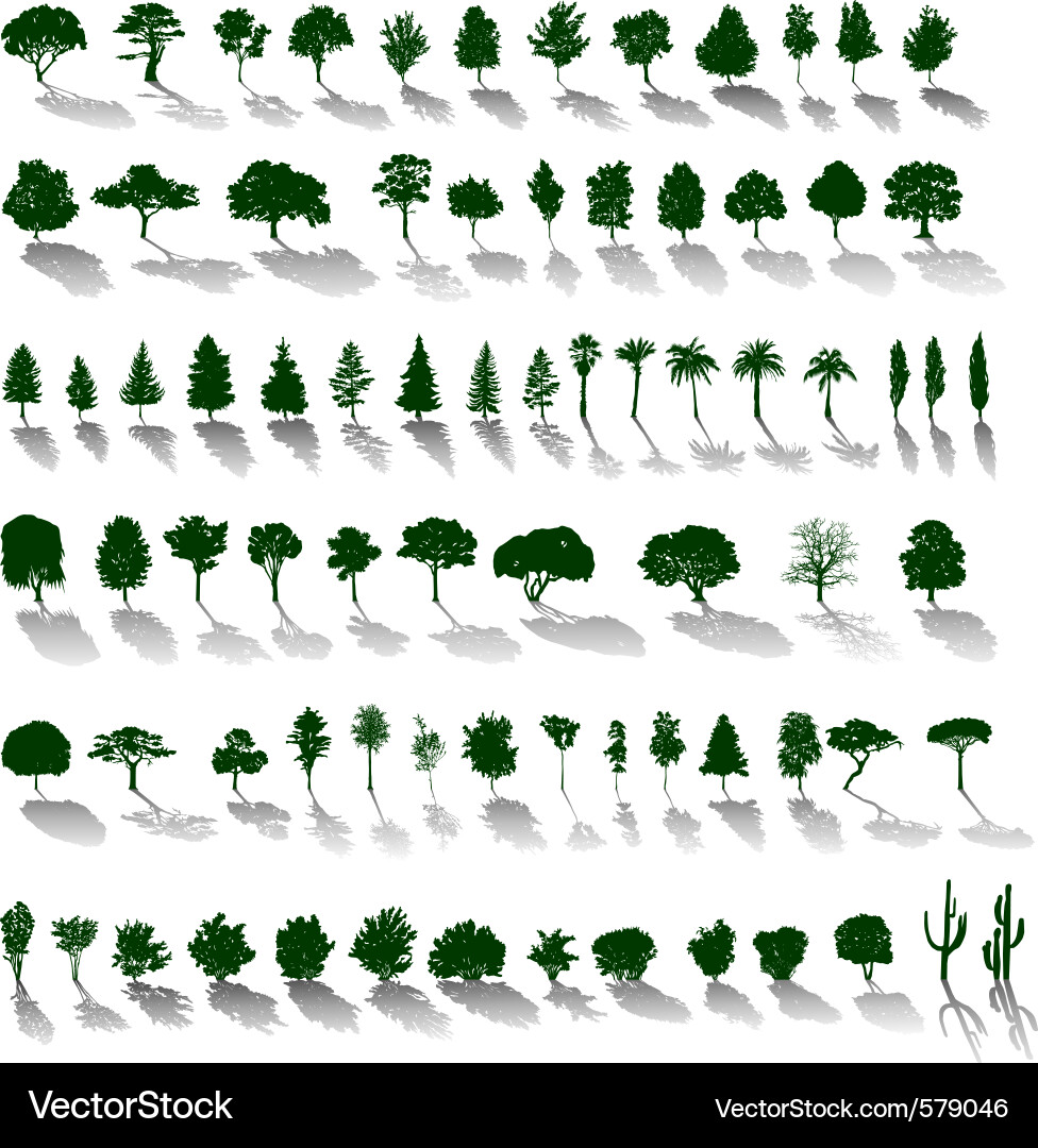 Trees with Shadows Silhouette Vector Image