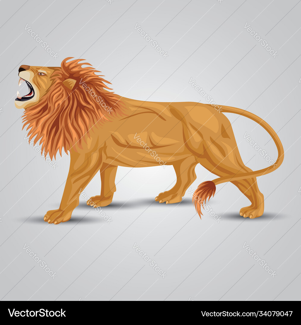 Angry lion side view isolated white background – Royalty-Free Vector |  VectorStock, image size:1000x1080