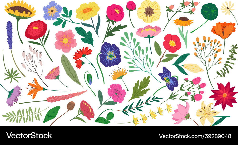 Cute spring flowers and leaves botanical floral Vector Image