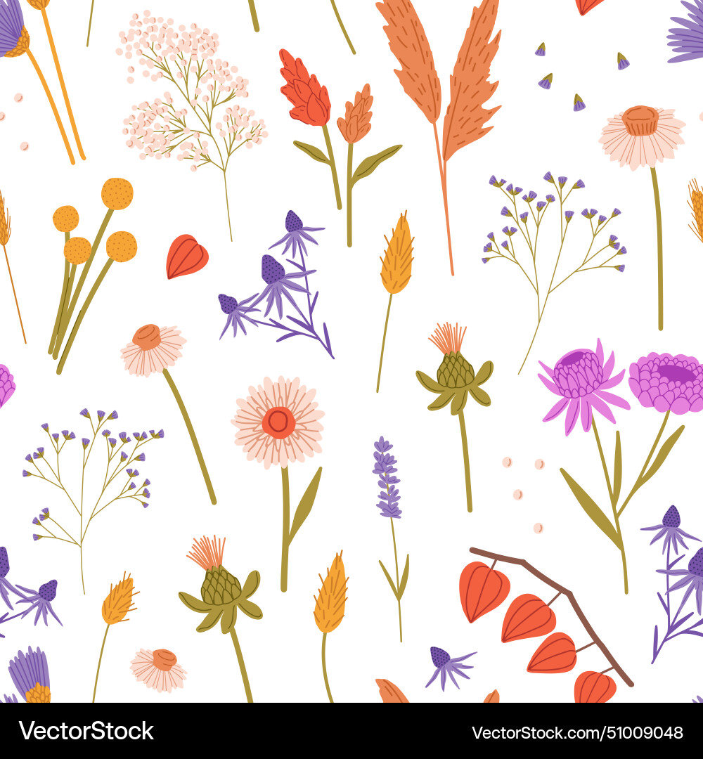 Endless background with dry wildflowers- physalis Endless background with dry wildflowers- physalis vector image