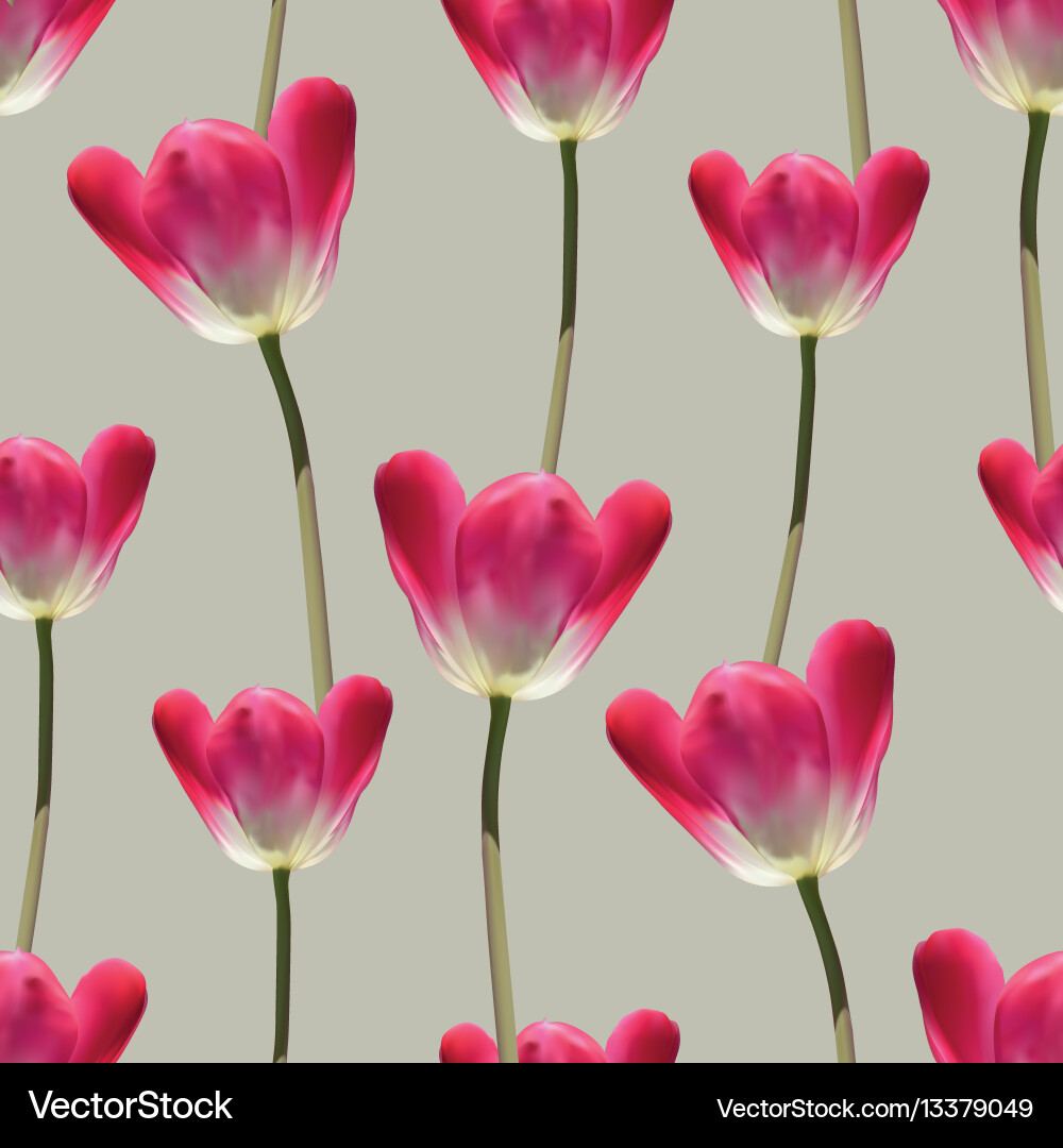 Realistic Tulip Seamless Pattern Vector Image
