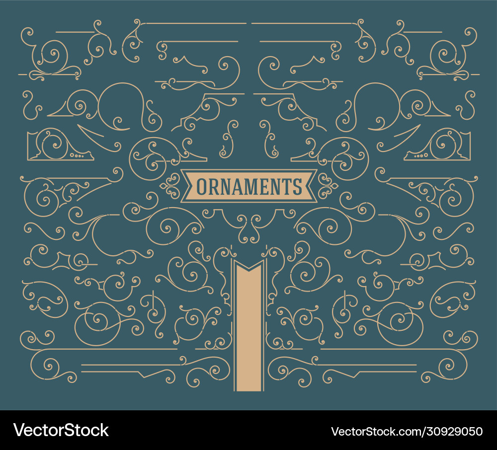 Antique set swirls and scrolls design elements Vector Image