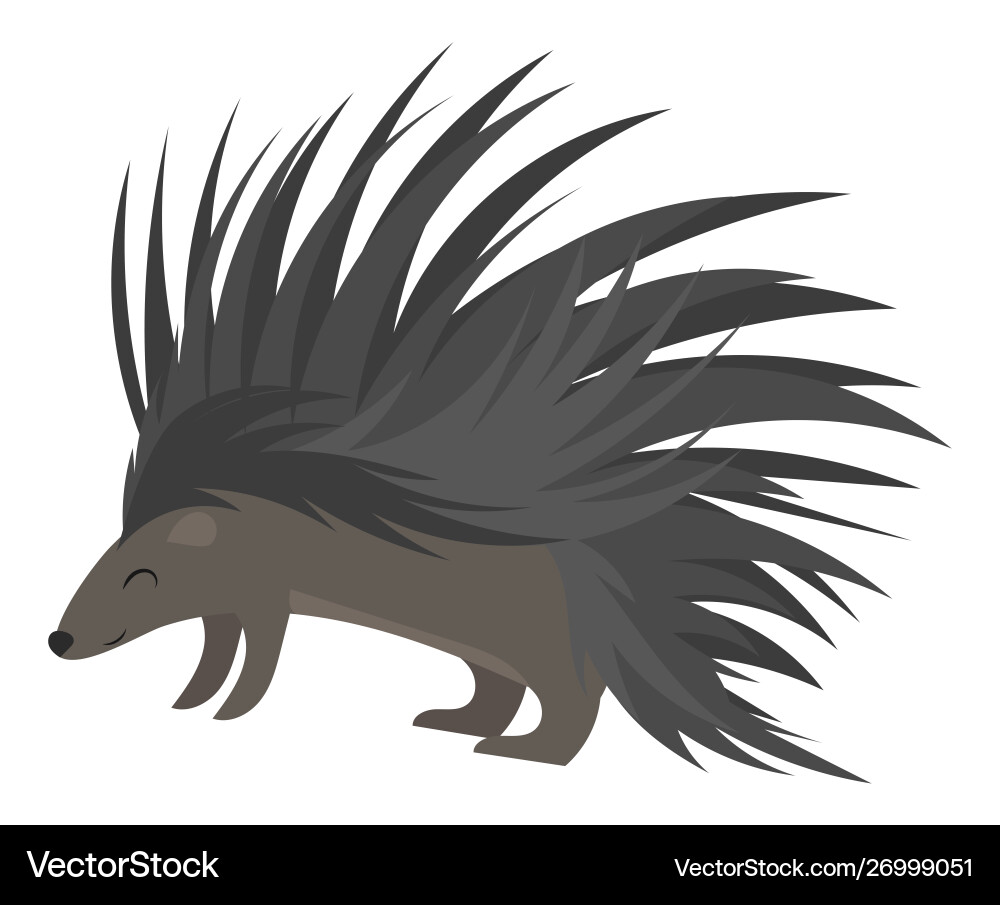 Cartoon Echidna Cartoon Echidna vektorbild