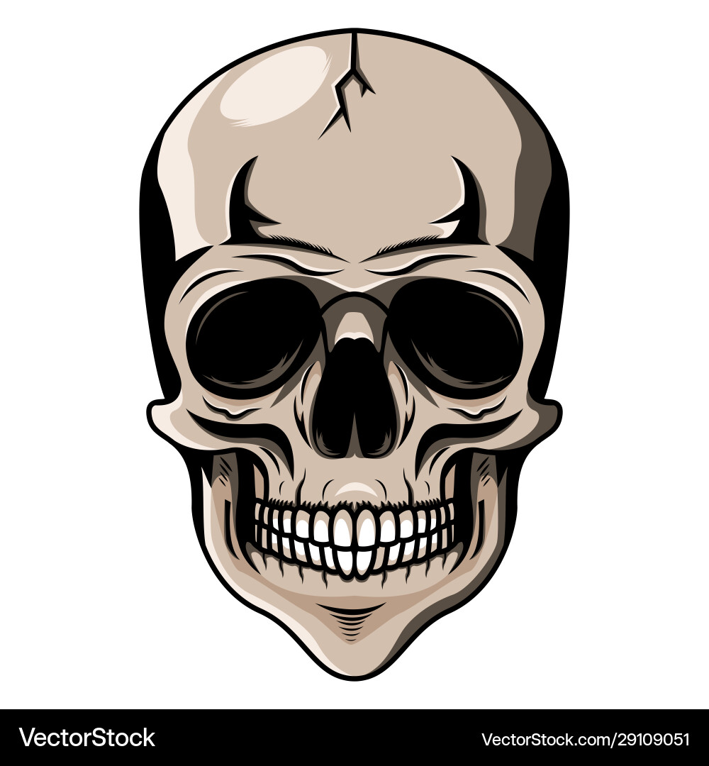 Skull head mascot logo desain Vector Image