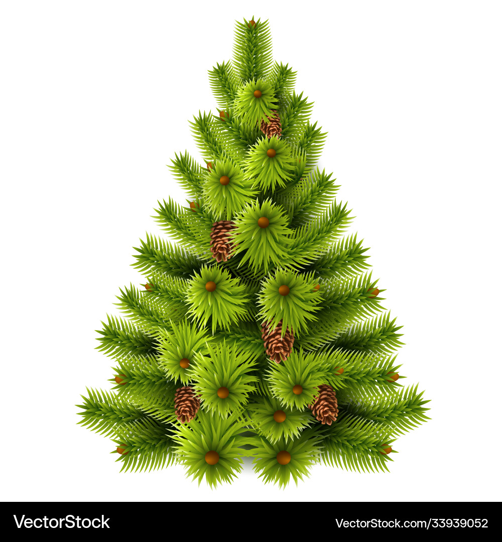 Echter Weihnachtsbaum Vektorbild