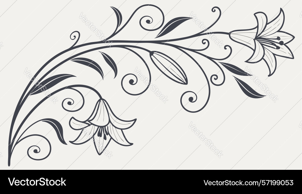 Graceful corner element with lily and flowing vector image