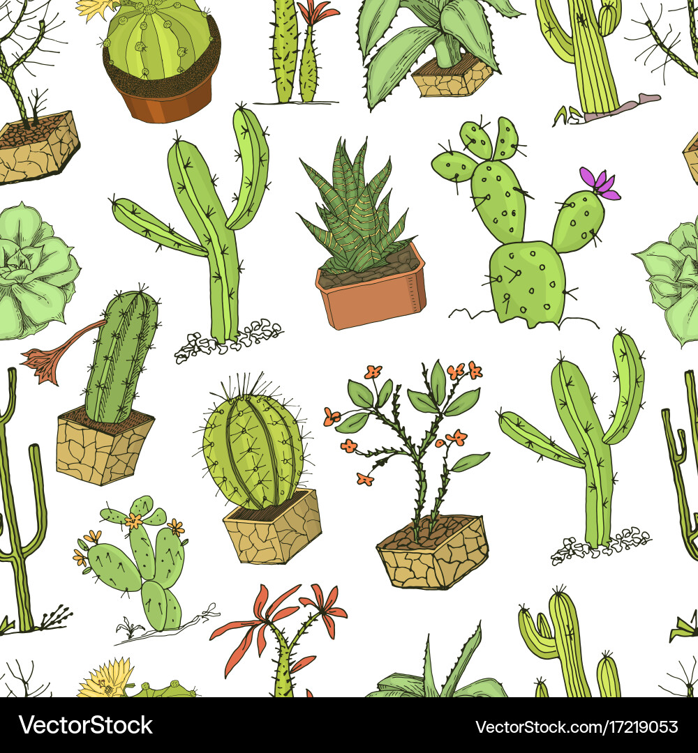 Home cactus plants with prickles and nature vector image