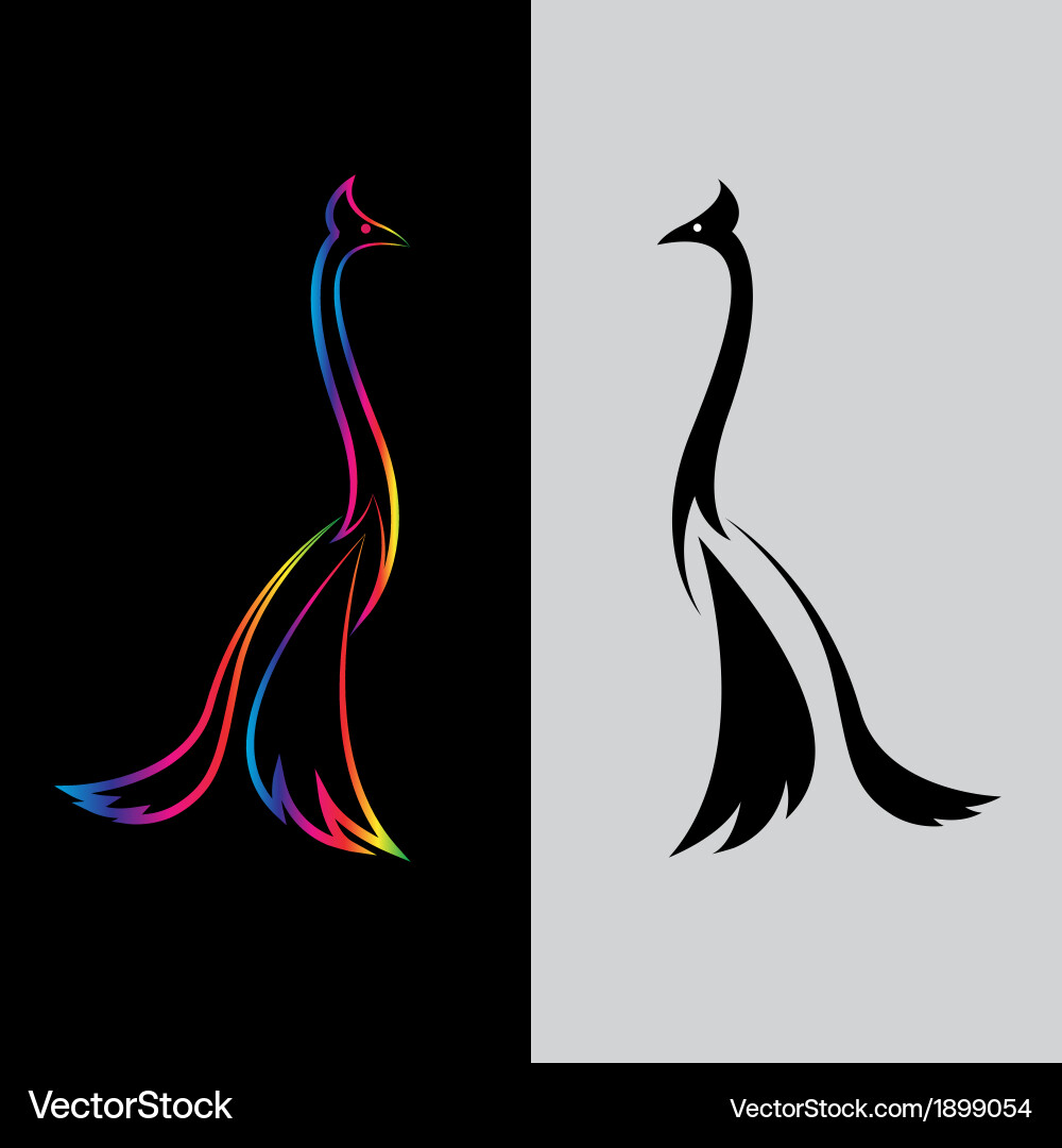 Peacock Feather Pattern vector image