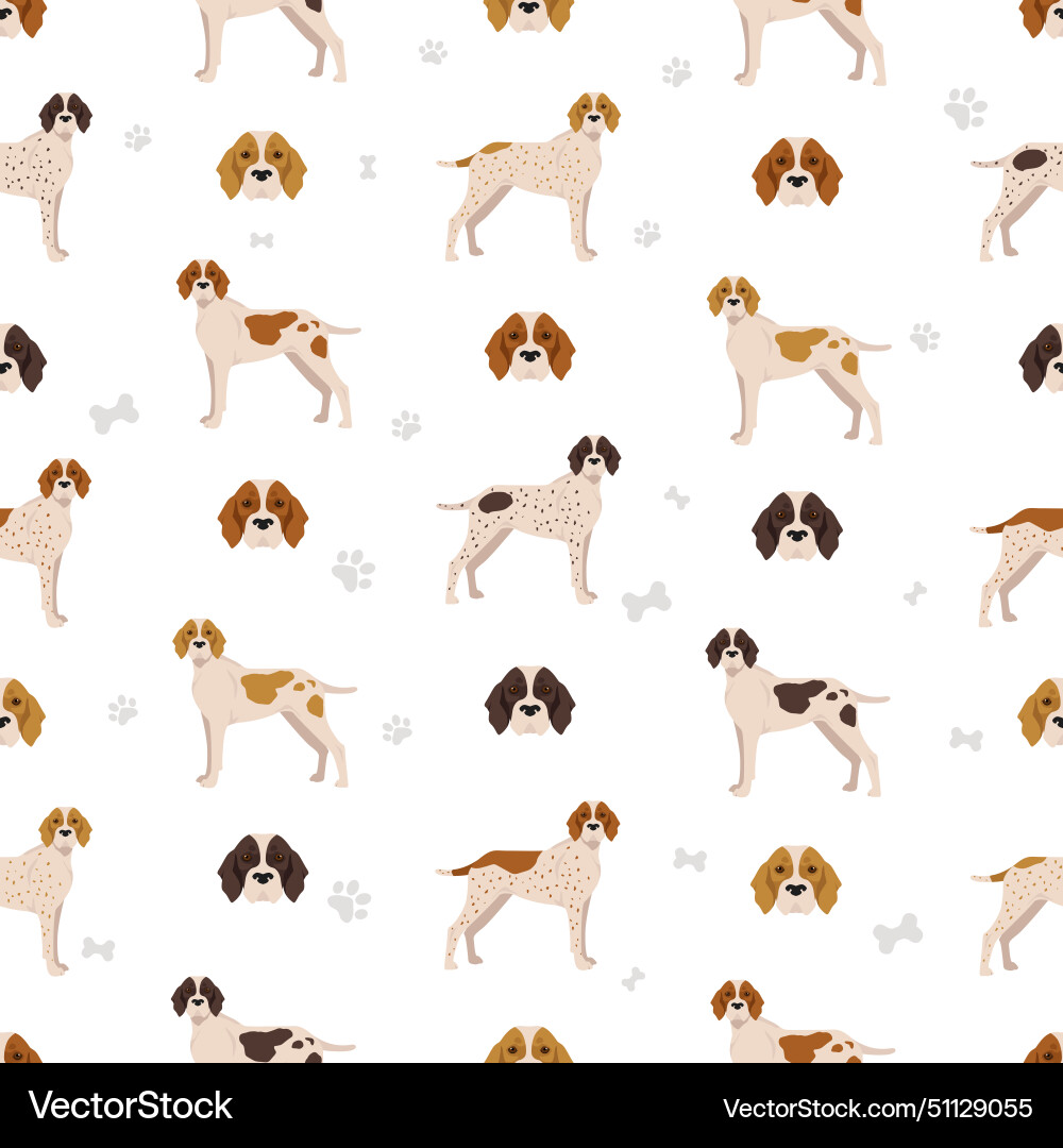 Ariege pointer seamless pattern different poses Ariege pointer seamless pattern different poses vector image