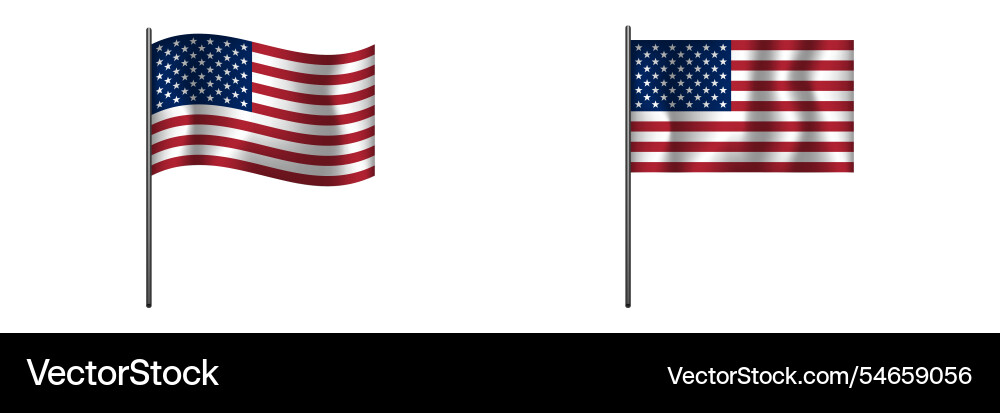 Two american flags side by displaying vector image