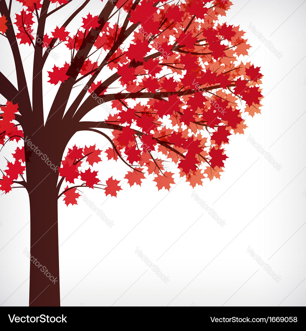 Abstract background maple tree with branches made Vector Image