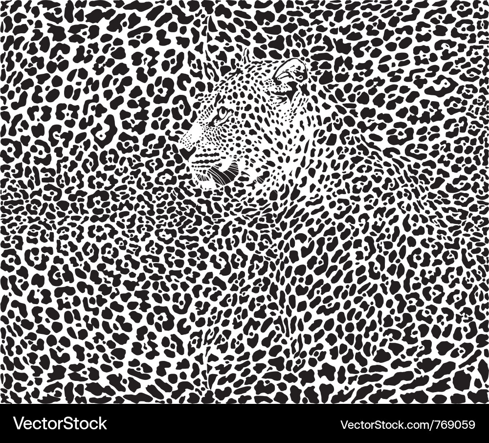 Vector Leopard Front Vector Leopard background Royalty Free Vector Image - VectorStock