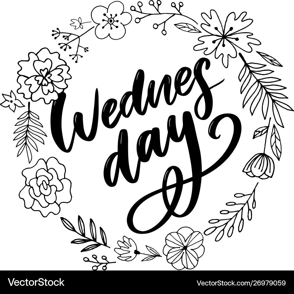 Wednesday words quote design hand drawn ink vector image