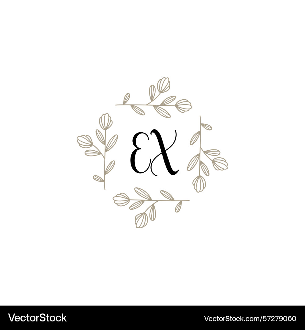 Botanical monogram logos with initial ex Botanical monogram logos with initial ex Vector Image