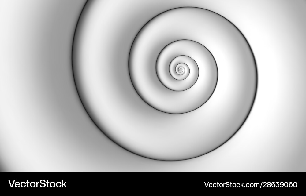 Fibonacci spiral white abstract background vector image