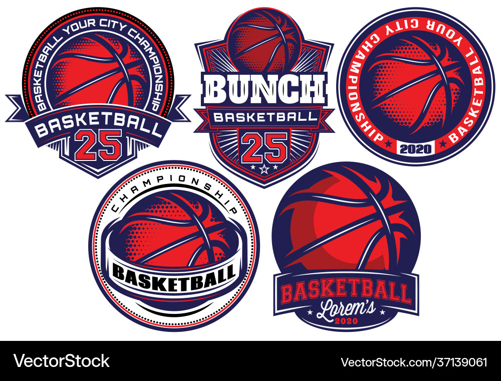 Basketball Templates & Branding vector image